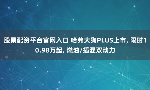 股票配资平台官网入口 哈弗大狗PLUS上市, 限时10.98万起, 燃油/插混双动力