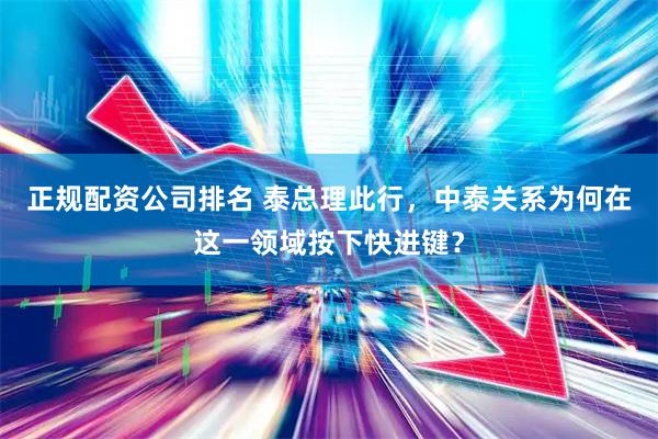 正规配资公司排名 泰总理此行，中泰关系为何在这一领域按下快进键？